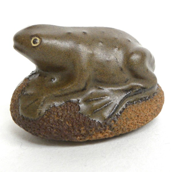 Scrubsteen Frog